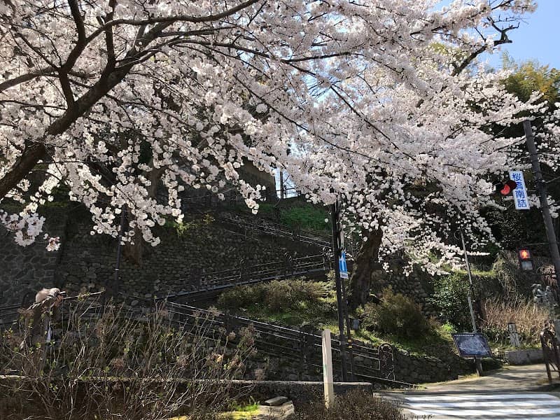石伐坂(W坂) - Image 2
