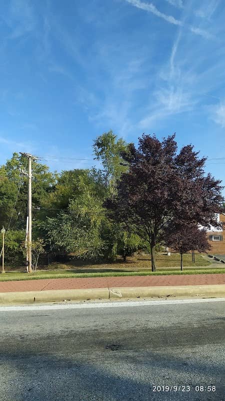 Town Green Park - Image 2