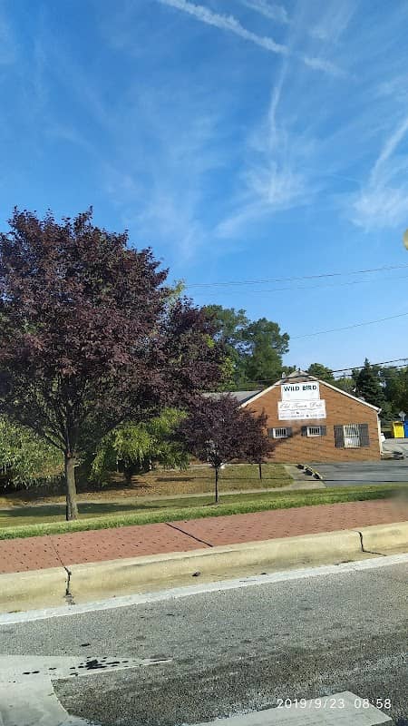 Town Green Park - Image 1