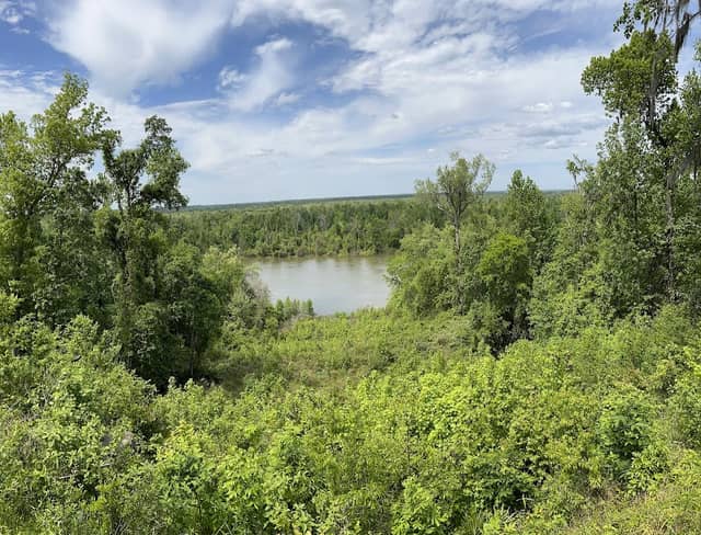 Torreya State Park - Image 2