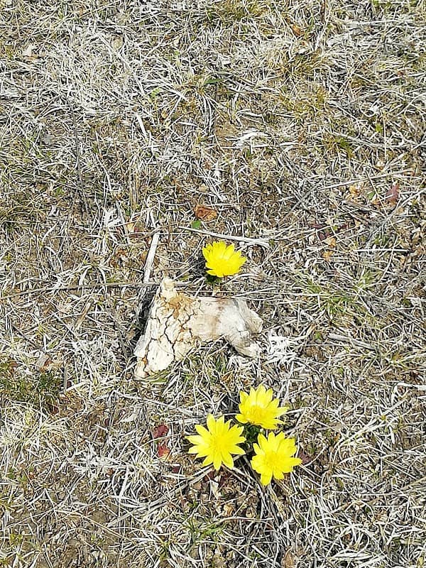Park - Image 1