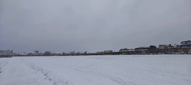 Petite pelouse - Image 1