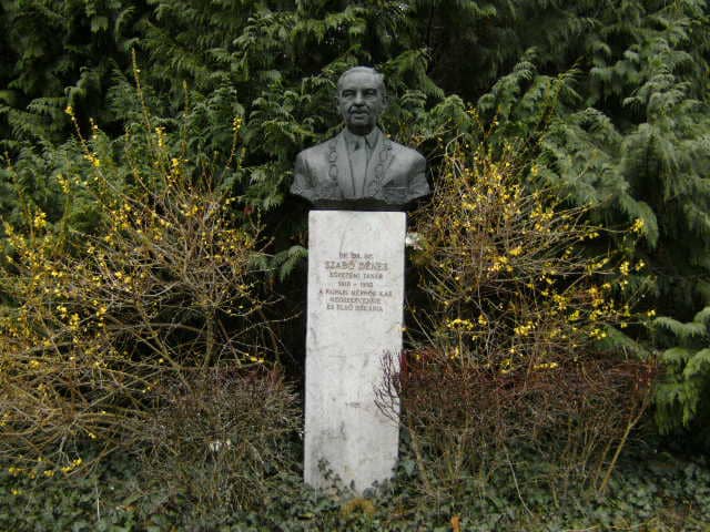dr. Szabó Dénes szobor - Image 1