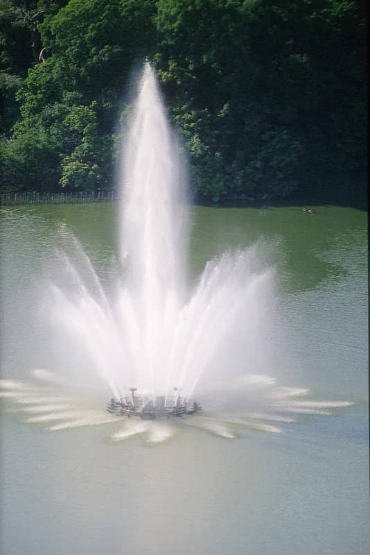 Springbrunnen Knieperteich - Image 2