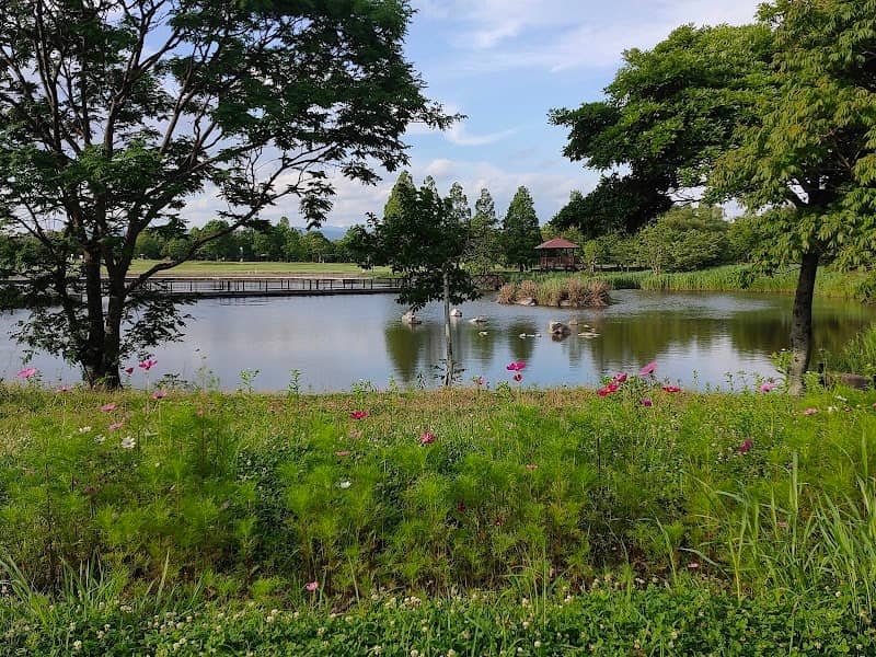 Saga Prefectural Shinrin Park - Image 1