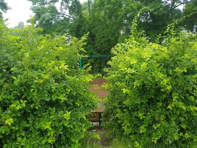 Sadie Quatrale Park - Image 1