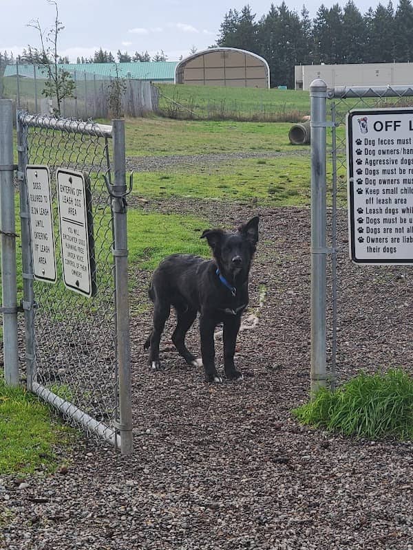 Technical Drive Off-leash Dog Park - Image 3