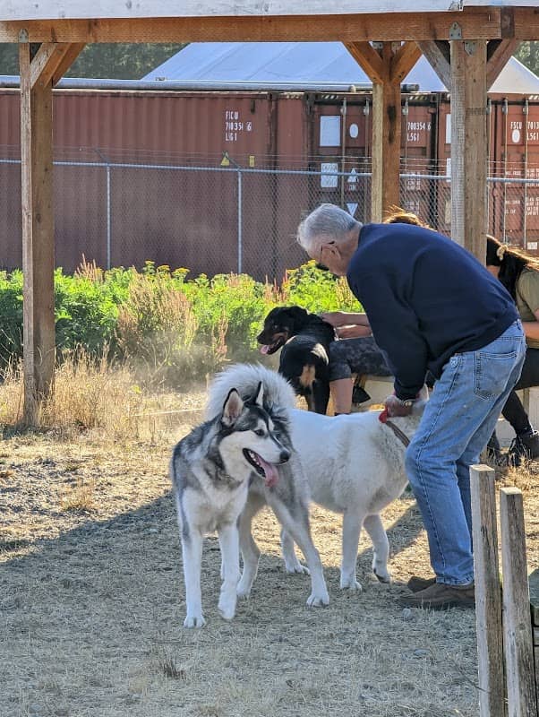 Technical Drive Off-leash Dog Park - Image 1