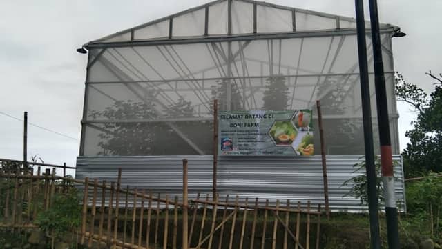 Boni farm - Image 1