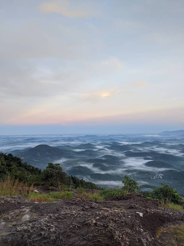 VAYALADA MULLANPARA ISLAND VIEW - Image 1