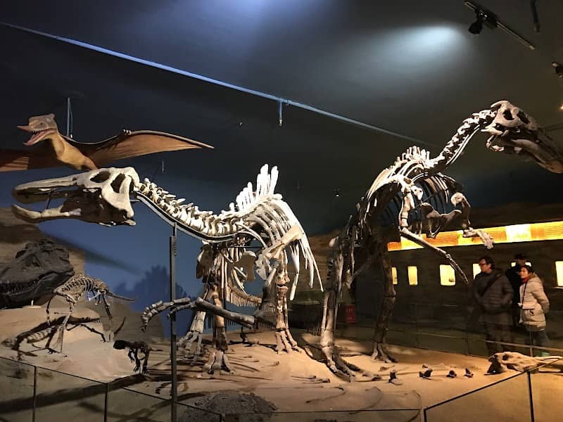 Heilongjiang Museum - Image 1