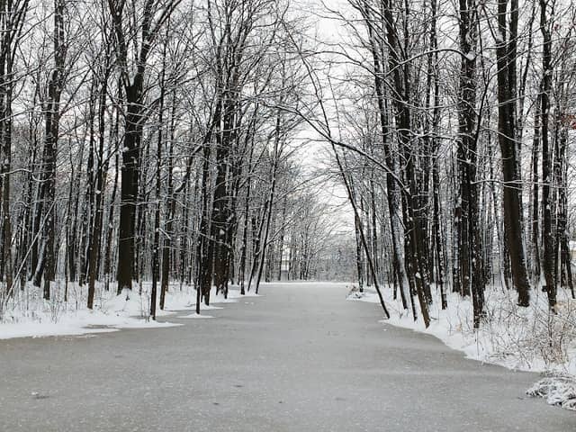 Woodlawn Park - Image 1