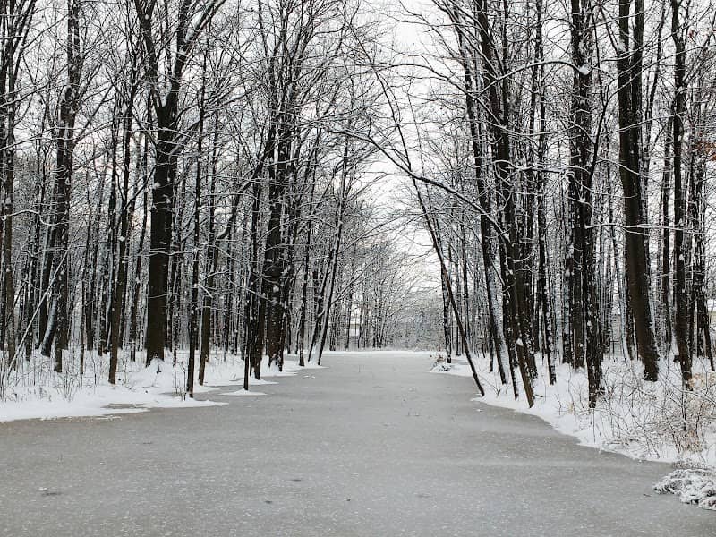 Woodlawn Park - Image 1