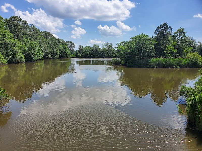 Hunn Nature Park - Image 2