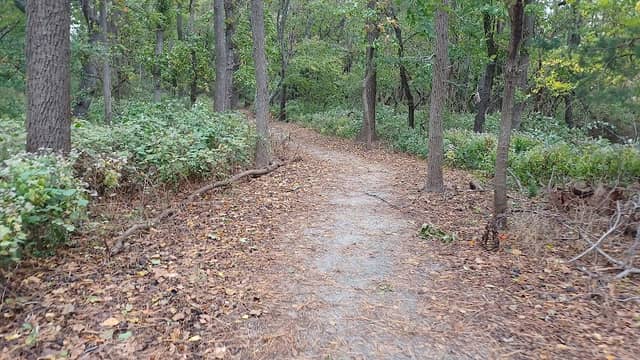 Hunn Nature Park - Image 1