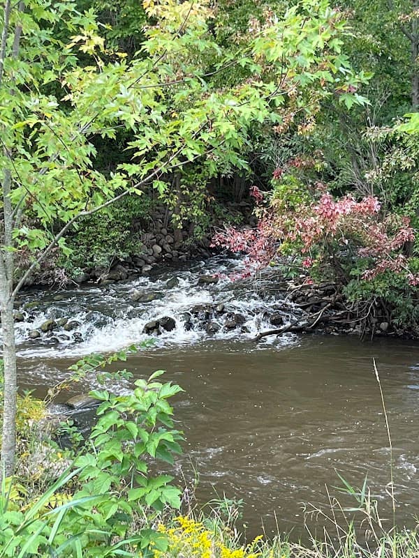 Old Mill Park - Image 2