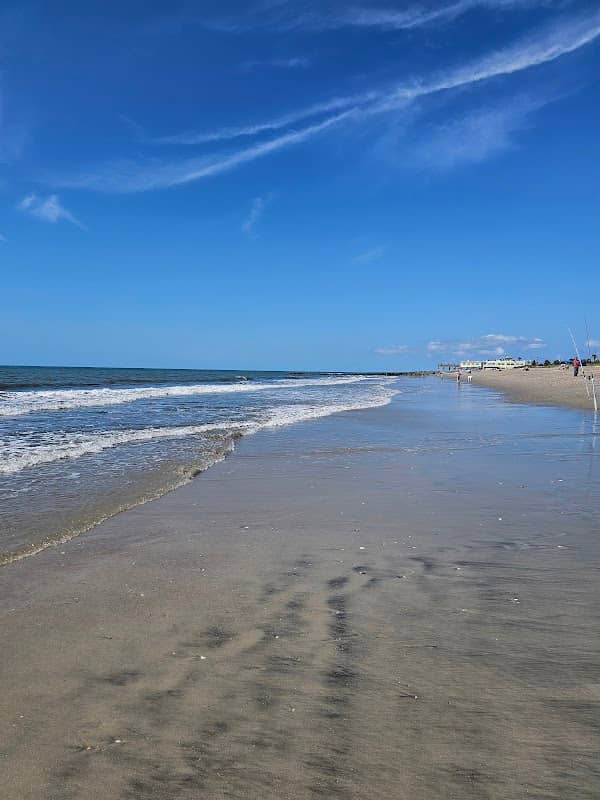 Edisto Beach State Park - Image 3
