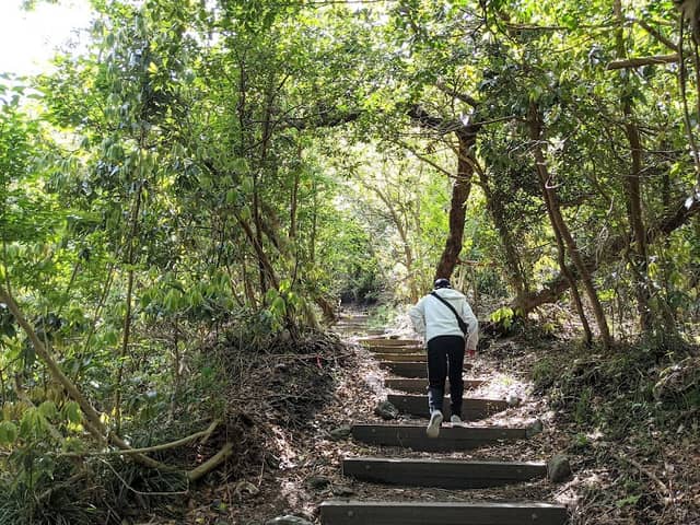 Texas Trail - Image 2