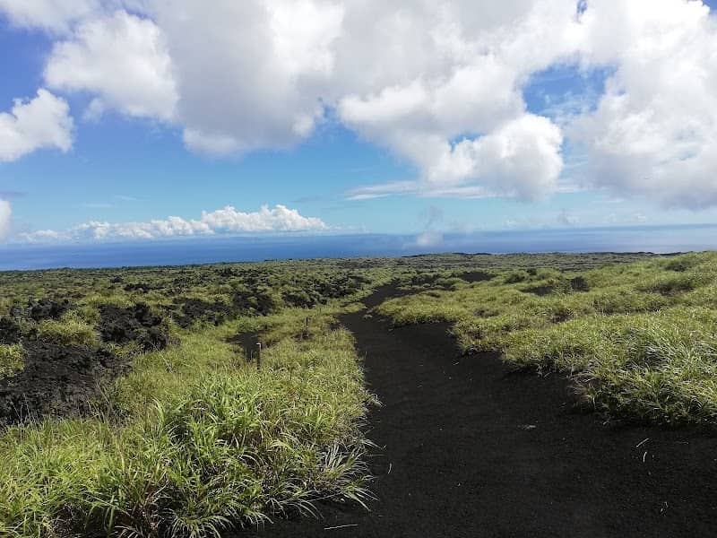 Texas Trail - Image 1