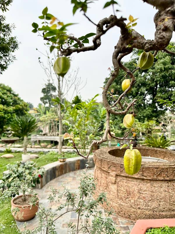 Công Sinh Villas - Image 1
