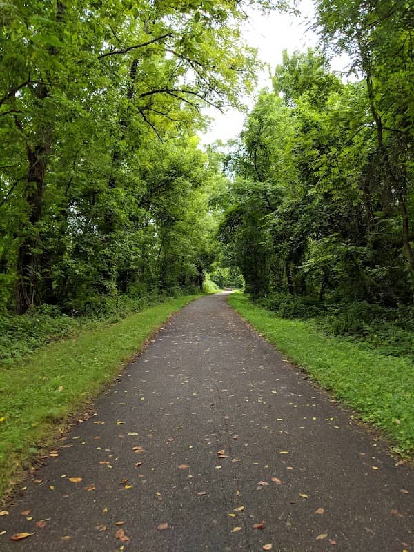 Bluebell Preserve - Image 3