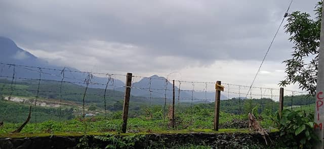 Myladi river view - Image 2