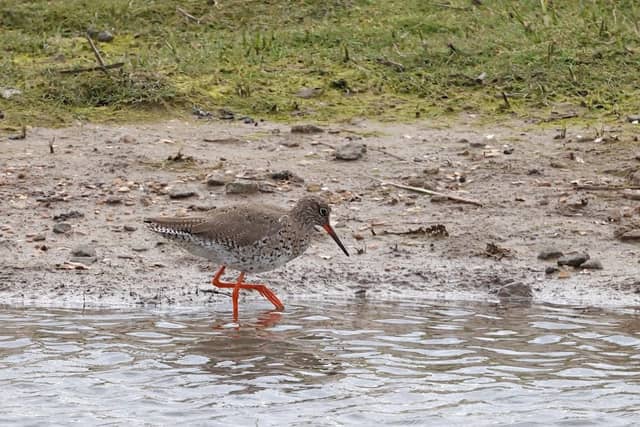 Nel’s Hide - Image 2