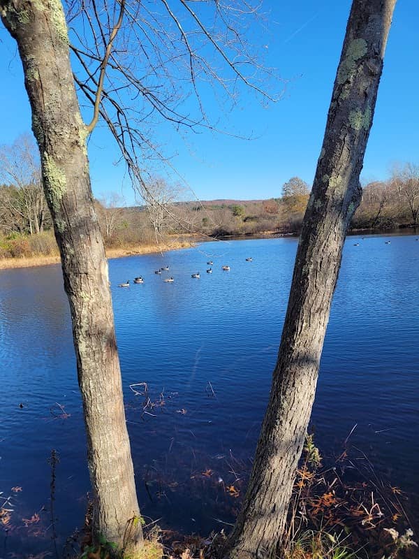 Owens Pond - Image 2