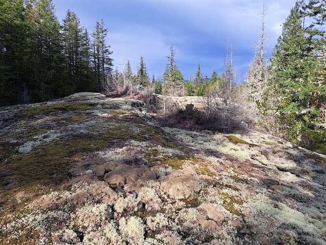 Hammil lake - Image 1