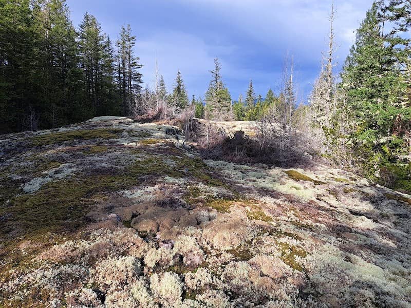 Hammil lake - Image 1