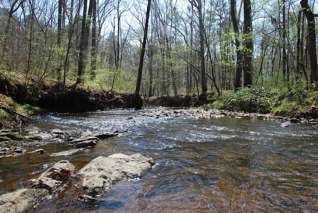 Greystone - PRIVATE PRESERVE - Image 2