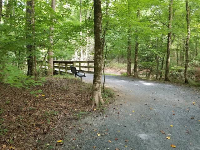 Don White Memorial Park - Image 1