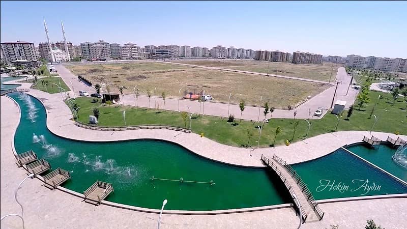 Park pond - Image 1