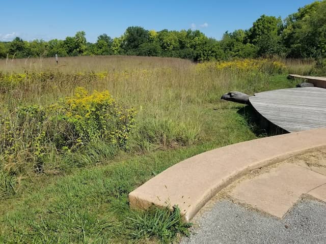 Red-tail Nature Preserve - Image 1