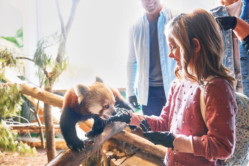 Oglebay Good Zoo - Image 1