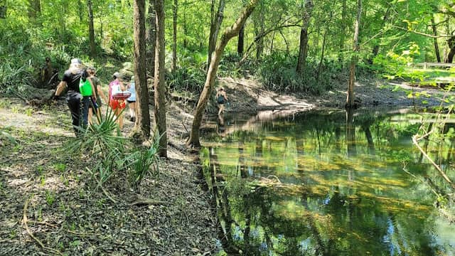 Troy Springs Wildlife Management Area - Image 2