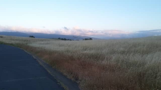 Wallace Stegner Pathway - Image 1