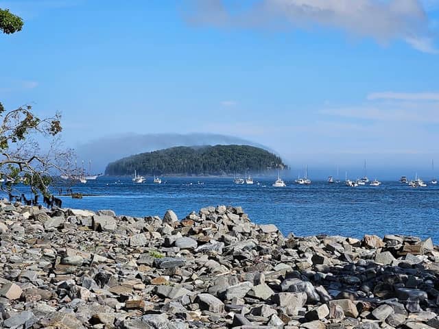 Bar Island - Image 1