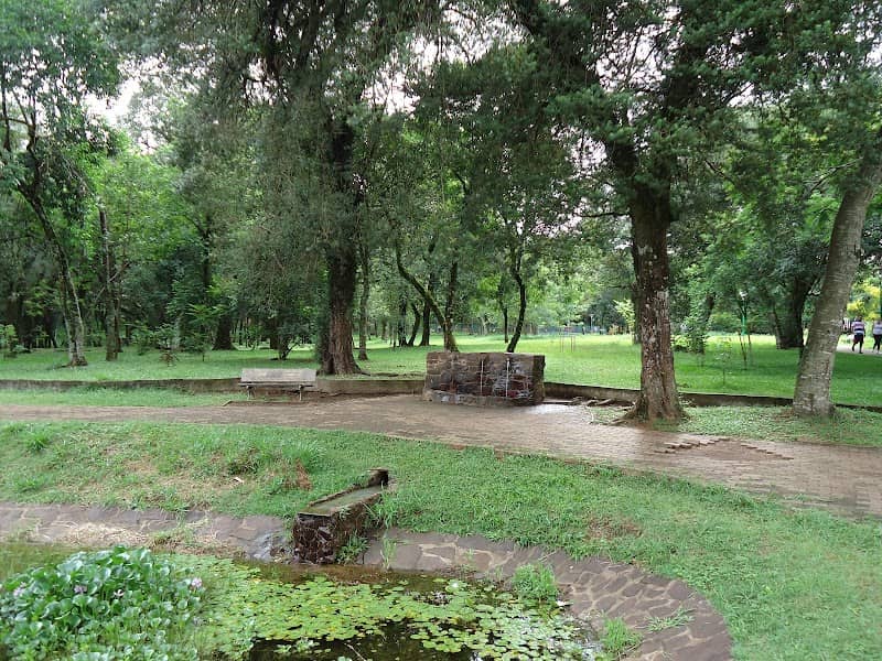 Parque Tarquinio - Image 2