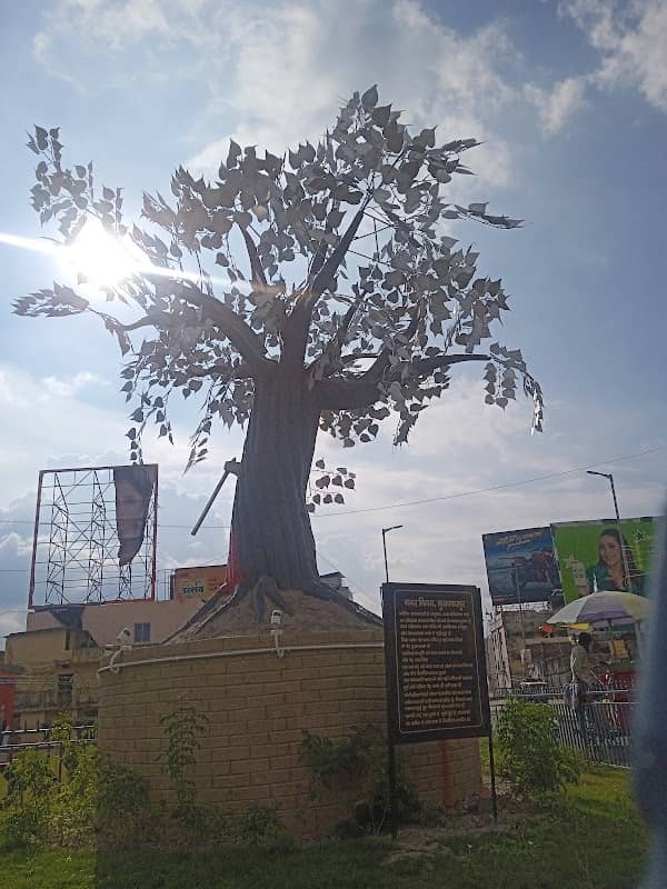 Peepal Tree Statue - Image 1