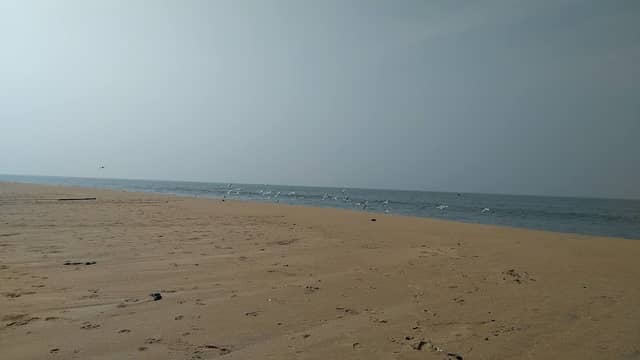 Aadikadalayi beach - Image 1