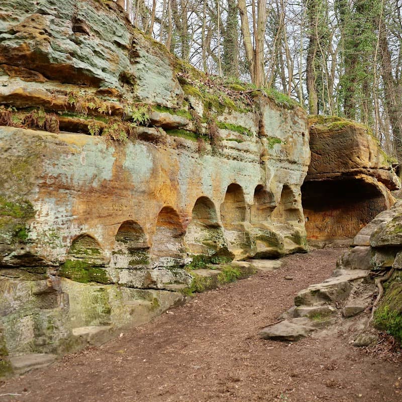Vinoř Nature Reserve - Image 1