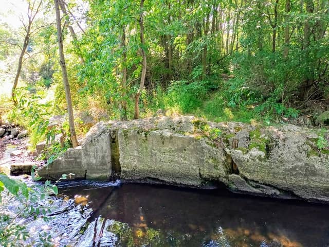 Kiddville - Image 1