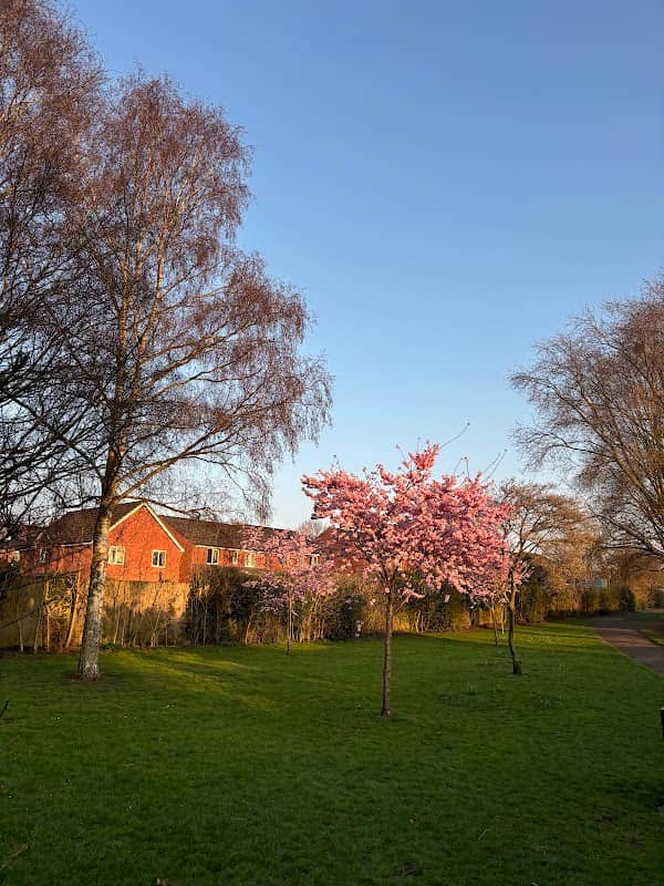 Baxter Gardens Park - Image 2