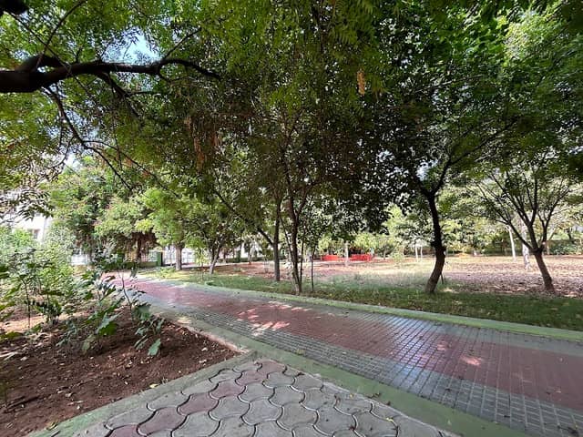 Dev park - Image 1