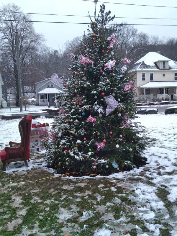 Noxen Christmas Tree - Image 1