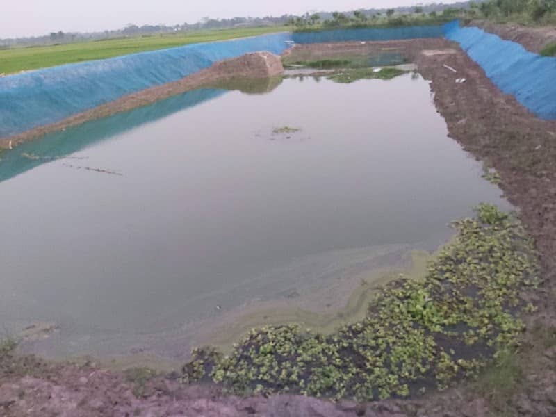 Nura Alam Green Project - Image 1