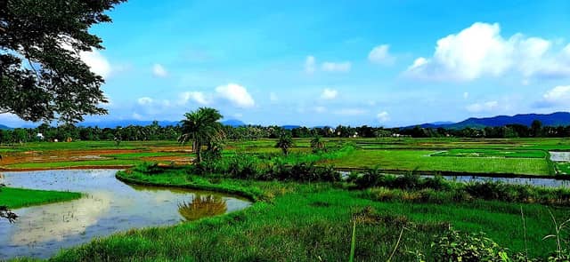 Beda dam - Image 1