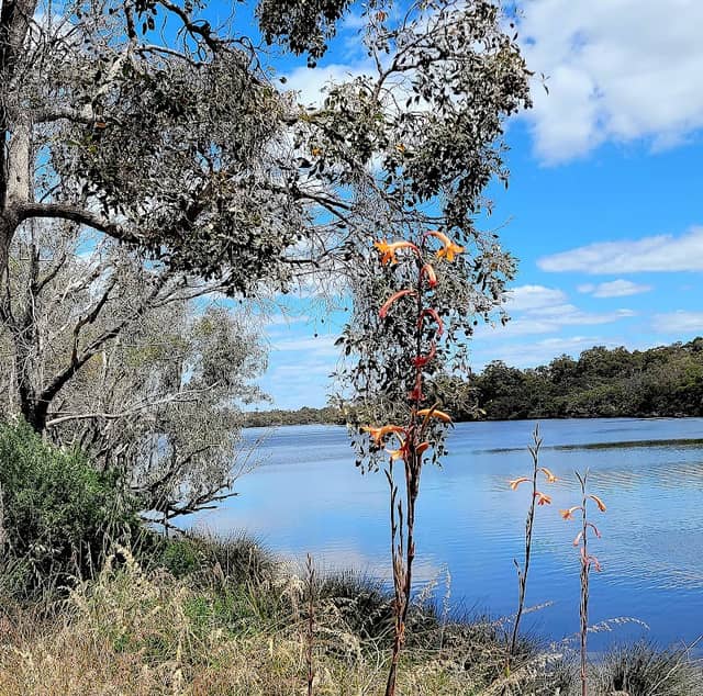Leicester Reserve - Image 1