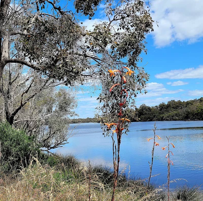 Leicester Reserve - Image 1
